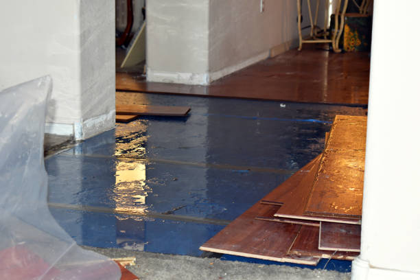 Professional Basement Water Removal technician working in Thompsonville, CT