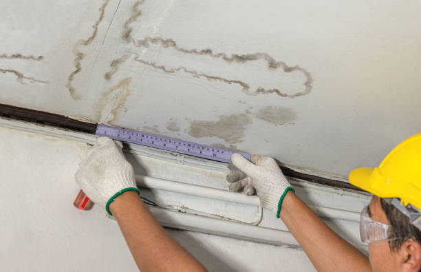 Reliable Basement Water Removal contractor in Thompsonville, CT by Water Damage Irwin